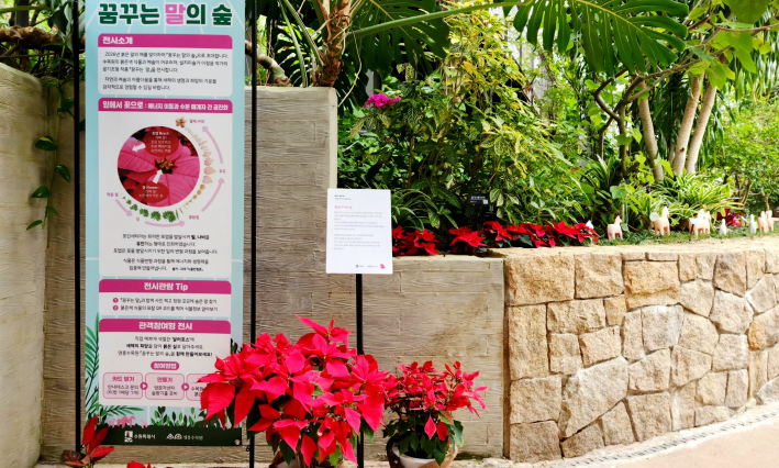'꿈꾸는 말의 숲' 전시소개 및 포인세티아 생태, 전시관람 Tip, 관객참여형 전시 참여방법 안내 패널