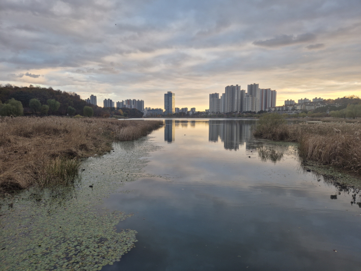 수원의 밤빛을 가장 아름답게 담아내는 곳, 광교호수공원