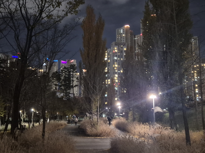 나무들이 바람을 감싸 안아 포근함이 느껴지던 늦가을의 숲길을 거닐다.