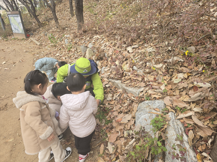 숲해설사 선생님과 함께 낙엽 사이에 숨은 작은 들꽃을 관찰하는 아이들.