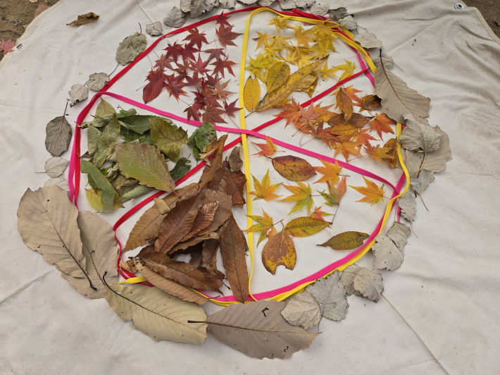 색색의 낙엽을 분류해 놓은 가을 숲의 자연물 미술 작품. 아이들이 직접 모은 잎으로 완성되었다