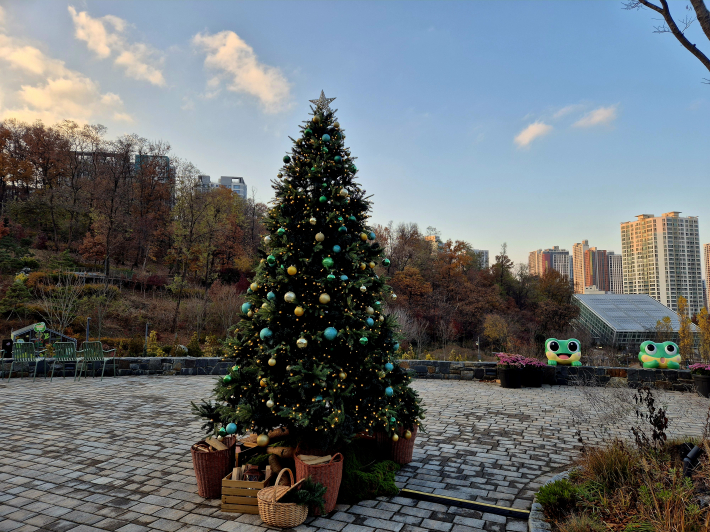 맞이마당에는 크리스마스 트리가 장식되어 있었다