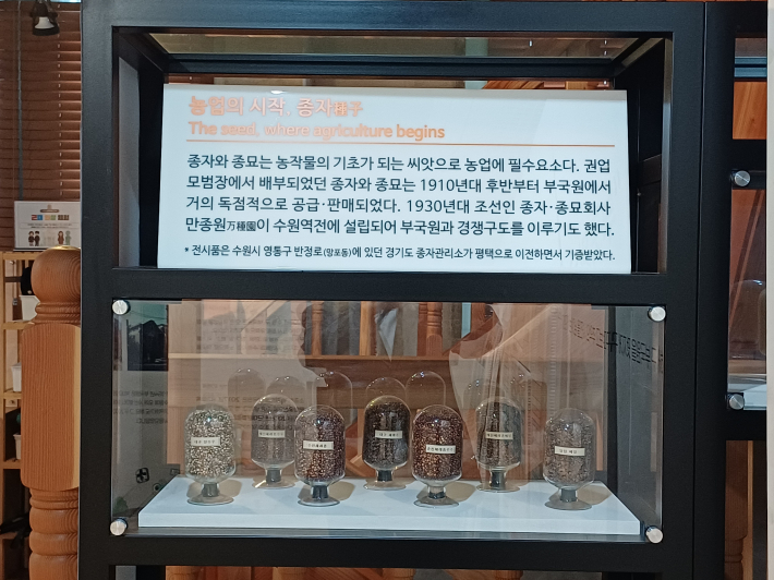 1910년 종자 견본 전시대