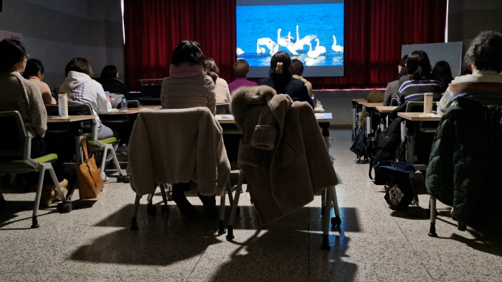 바닷가에서 새들이 놀고 있는 것을 그리워 하고 있다