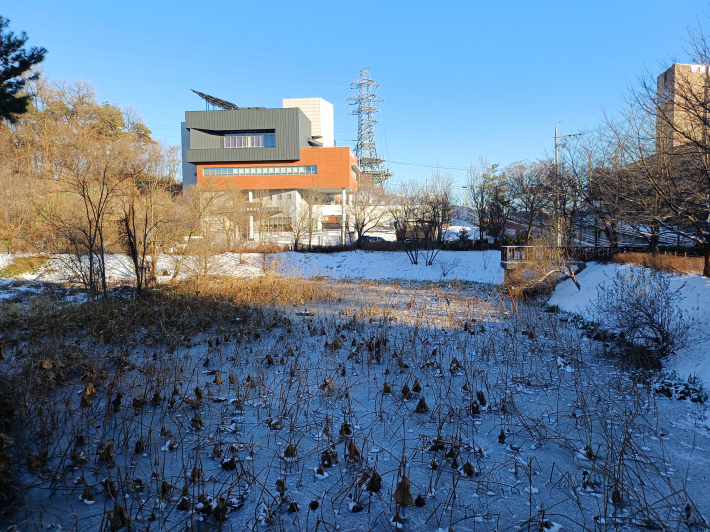 하야케 내린 눈 내린 밤밭노인복지관의 아름다운 풍경