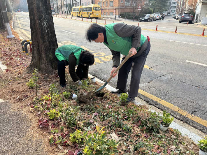황금사철 식재하는 새마을협의회원들