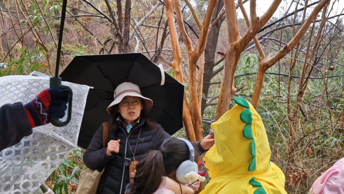 수피가 얇아서 가지 끝이 떨려 간지럼을 탄다고 붙여진 간지럼 나무로도 불리는 배롱나무