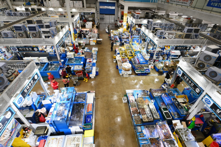 수원시농수산물도매시장 수산동 전경