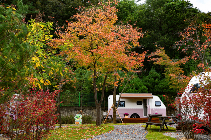 청량산 수원캠핑장 시설.     