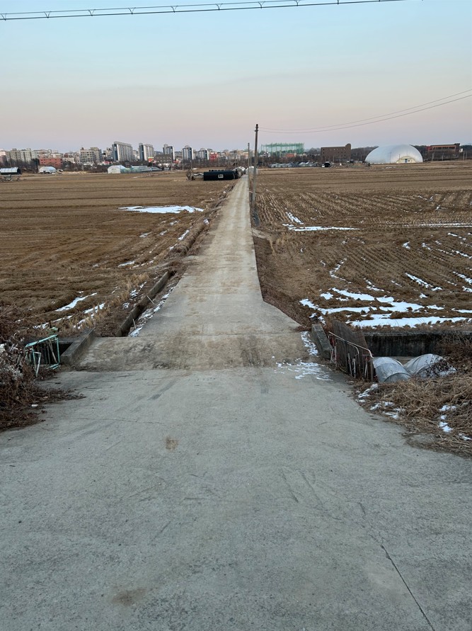 호매실 들녘 풍경