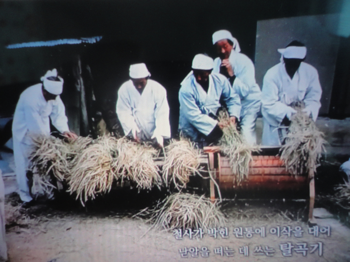 가을에 홀태로 벼 바심하는 모습