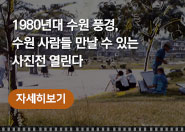 와글와글수원 제716호