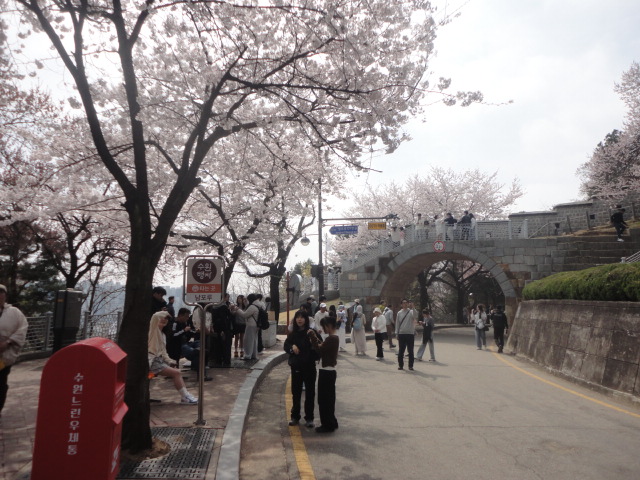 사진: 왼편으로 팔달문, 오른편으로 올라가면 서장대아취형을 지나 직진하면 옛 도청으로가는길