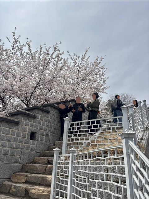 산책로 초입에서 만난 봄꽃 풍경