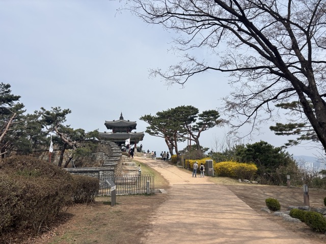 완만한 경사로 조성된 팔달산 산책로