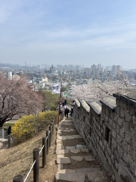 산책로에서 바라본 수원 시내 전경