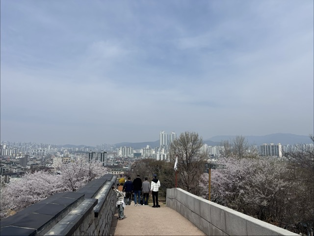 서장대에서 화서문으로 이어지는 성곽 산책 구간