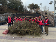 우만2동 주민자치회, 장미 전정 작업