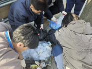 입북동 혼합배출 단속 장면