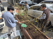 동 직원들이 조팝나무를 식재하고 있다.