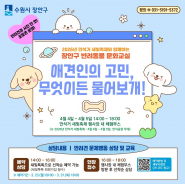 장안구는 2026년 만석거 새빛축제에서 반려동물 문화교실을 운영합니다.