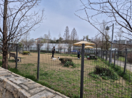 마중공원에는 반려견놀이터도 마련되어 있어 강아지들이 자유롭게 뛰어놀 수 있다. 