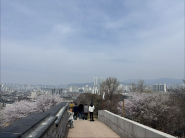 서장대에서 화서문으로 이어지는 성곽 산책 구간