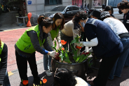 4월 13일, 매탄4동은 통장협의회와 함께 관내 손바닥 정원에 화초류를 심었다.
