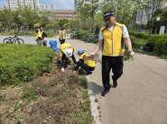 주민자치회 위원 등 참여자들이 환경정비를 진행하고  있다.