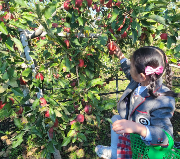 과수체험 사진