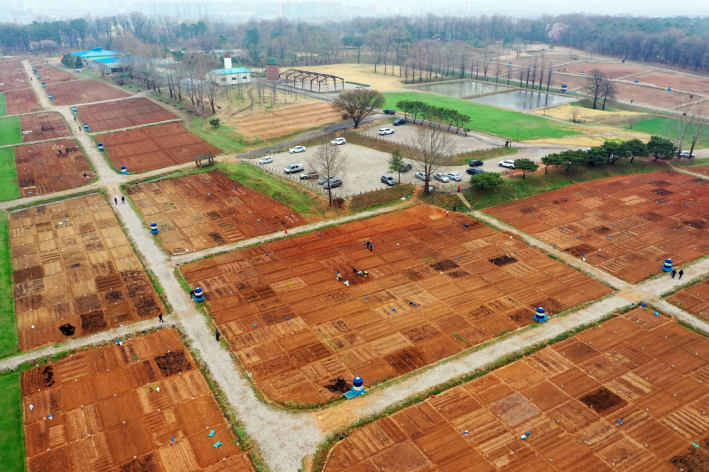 사진)탑동 시민농장 텃밭    