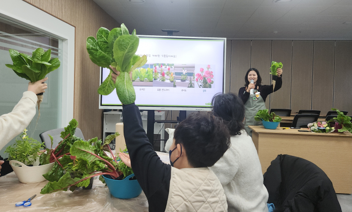 우리가 즐겨 먹는 수경재배 작물 로메인의 뿌리를 확인하고 있다.