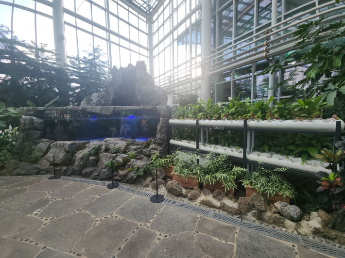 국립농업박물관 식물원에 있는 아쿠아포닉스
