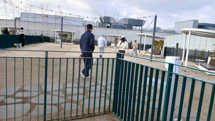 스타필드수원의 '펫파크' 모습