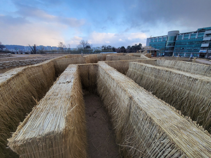 볏짚으로 만든 미로