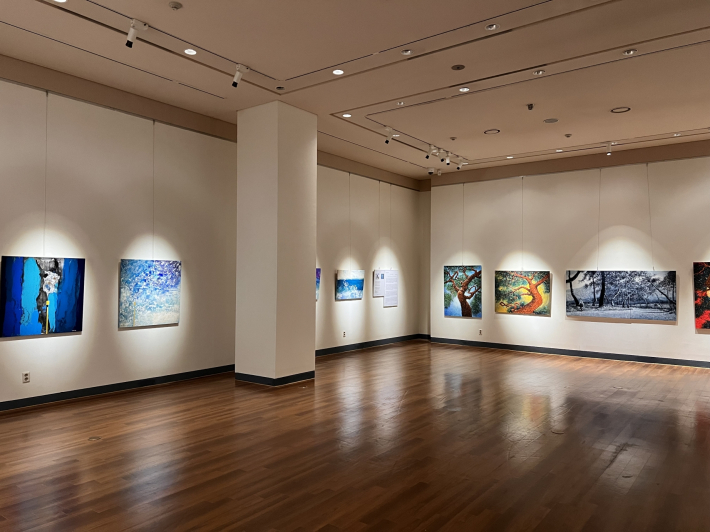 수원박물관 '수원의 기억, 삶의 색–전통·자연·일상으로 읽는 현대미술' 전시