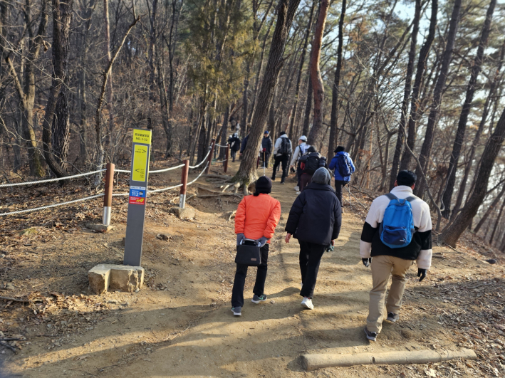 소나무 향을 맡으며 걷는다