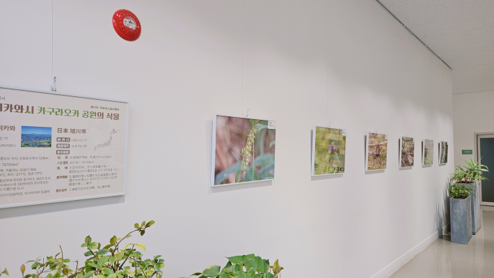 수원 국제자매도시 아사히키와시의 식물사진전 
