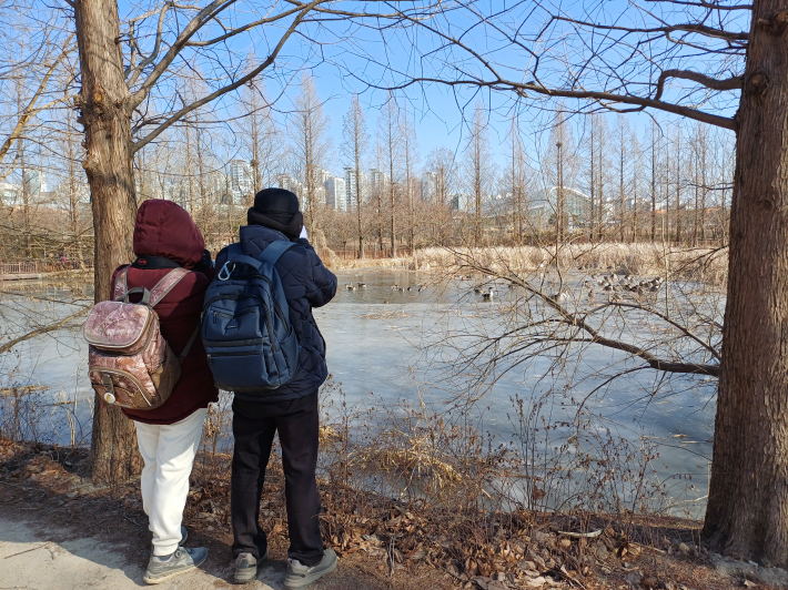 겨울 철새들의 놀이터 일월 호수 풍경