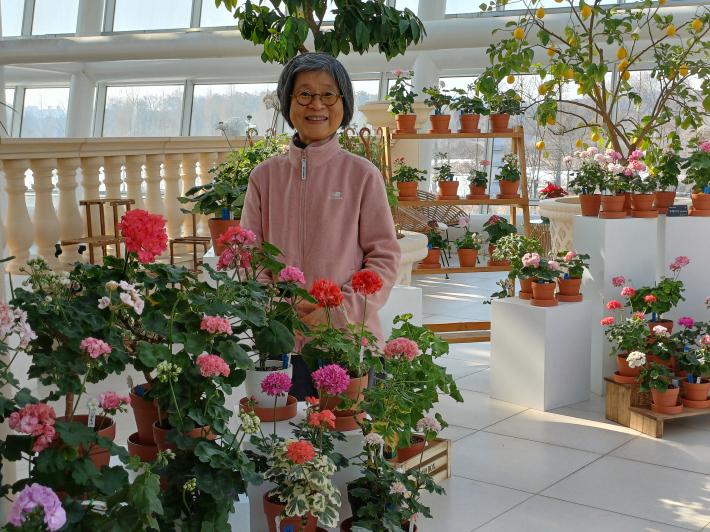 베란다에서 키우던 제라늄과 같이한 문영숙 씨 모습