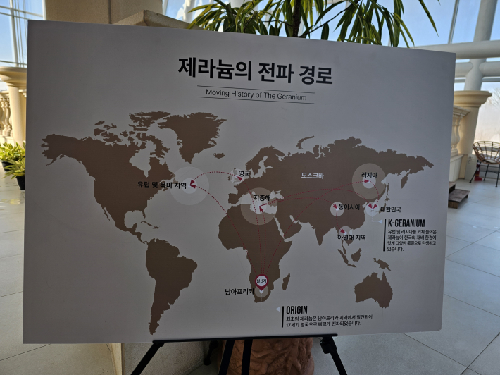 제라늄 분포도. 남아프리카가 원산지.