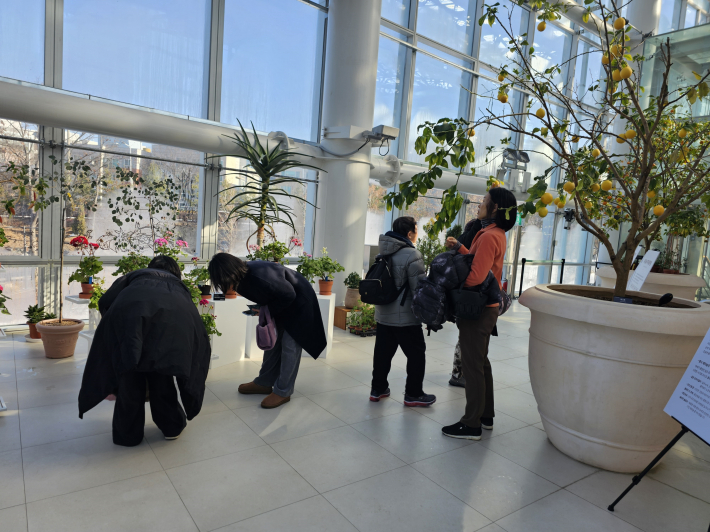 관람객들이  멀리서도 와서 제라늄을 구경하는 모습