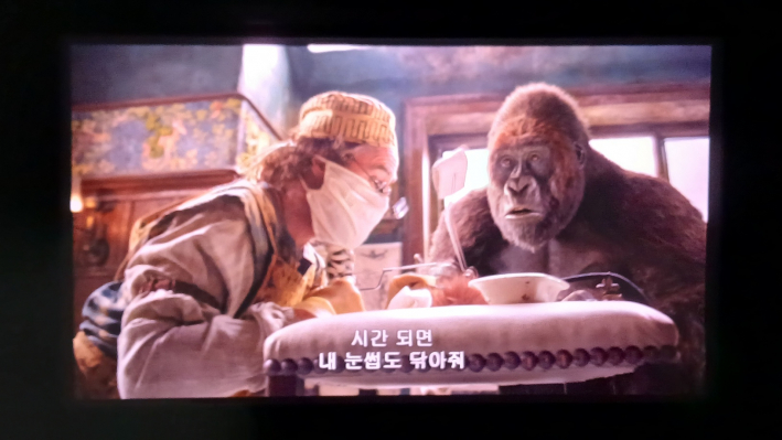 동물을 수술하는 닥터 두리틀 모습