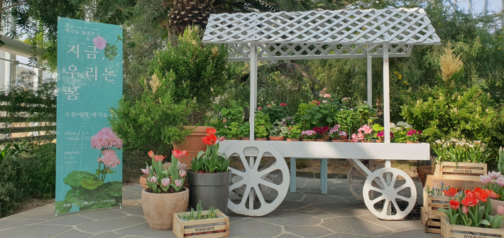전시장 입구에 마련된 하얀색 나무 마차 장식물 위와 주변으로 다채로운 색상의 제라늄과 튤립 등 봄꽃들이 화사하게 전시되어 있다.