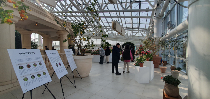 온실 안쪽 통로 전경으로, 식물학적 정보와 품종 구별법 등을 담은 여러 개의 안내 패널들이 관람객들 동선을 따라 세워져 있다.