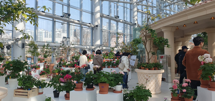 겨울 외투를 입은 관람객들이 따뜻한 온실 속에서 곳곳에 연출된 대형 화분과 꽃들을 여유롭게 감상하는 생생한 현장
