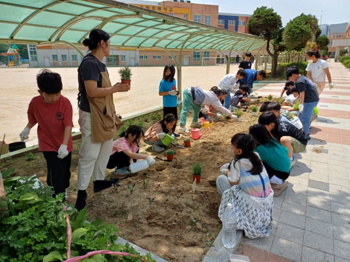 지난해 수원초등학교에서 '찾아가는 도시농업 프로그램'을 운영하는 모습.     