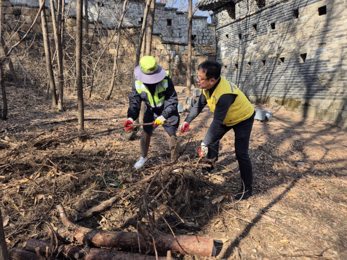 김현수 수원시 제1부시장이 나뭇가지를 정리하고 있다.     