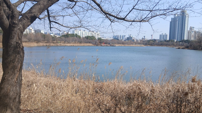 만석호수 공원 전경
