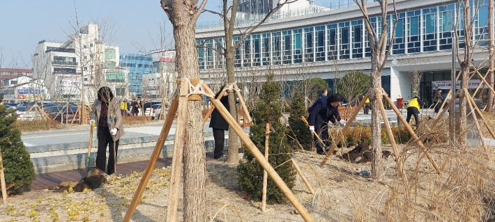 무궁화 식재 장면